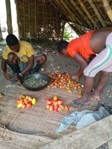 Cashew nuts processing