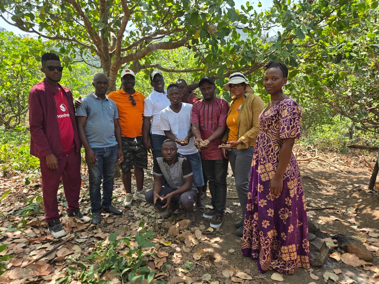 PCCNI Team at the Cashew farm